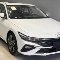 النترا ۲۰۲۵ پلاک ارس کارکرده