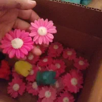 قیمتامون عجیب غریب ارزونه|صنایع دستی و سایر لوازم تزئینی|تهران, مشیریه|دیوار