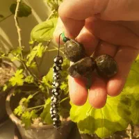 تسبیح سندلوس و مهره میناگردنی چشم  نظرانگشتر|جواهرات|اردبیل, |دیوار