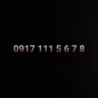 0917-111-0024|سیم‌کارت|شیراز, فرهنگ شهر|دیوار