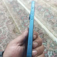 گوشی آیفون 13نرمال|موبایل|کرمان, |دیوار