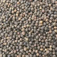 انواع ادویه تازه وپودرکیک آماده فروش خونگی درجه1|خوردنی و آشامیدنی|ملایر, |دیوار