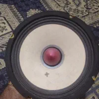 میدرنج هکتور اصلی