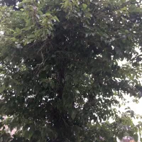 یک باب منزل طبقه دوم