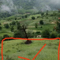 خونه باغ گردو ۱۰۰۰متری|فروش زمین و ملک کلنگی|فریم, |دیوار