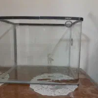 آکواریوم|ماهی|اصفهان, گرکان|دیوار