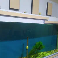 اکواریوم بزرگ با شیشه 10میل