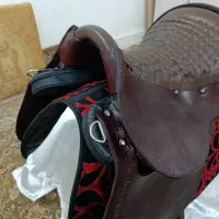 زین اسب|اسب و تجهیزات اسب‌سواری|کوهدشت, |دیوار