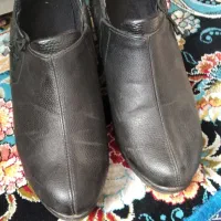 کفش مردانه وزنانه|کیف، کفش، کمربند|الشتر, |دیوار