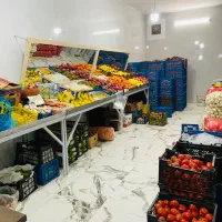 لوازم میوه فروشی|فروشگاه و مغازه|گرگان, |دیوار