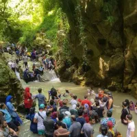 تور گروهی تنگه دار امازون ایران ویژه تابستان