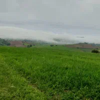 زمین مسکونی، کشاورزی،باغی،روستای آسیابر|فروش زمین و ملک کلنگی|دیلمان, |دیوار