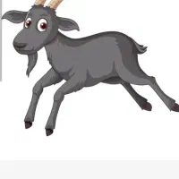بز گم شده