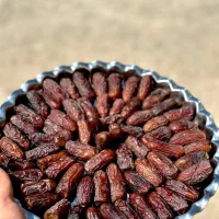 پیارم|خوردنی و آشامیدنی|بوشهر, |دیوار