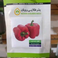 انواع بذر|گل و گیاه طبیعی|یزد, |دیوار