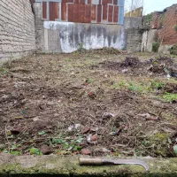 زمین داخل شهر لاهیجان  سند تک برگ