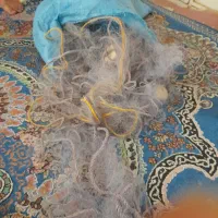 تور ماهگیری چشمه ۲۴ صدمتر