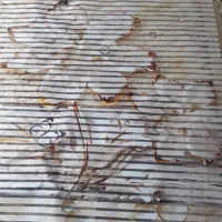 پرده زبراعرض۲/۵۵طول۱/۳۰مبل میزبان بارویه فرش ۶متری|پرده، رانر، رومیزی|قرچک, پویینک|دیوار