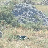 حمل نخاله ساختمانی