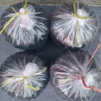 شاتوت ۱۰۰٪طبیعی