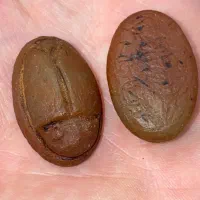 عقیق سوسکی کهنه باستانی