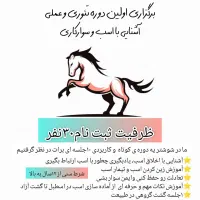 آموزش سوارکاری