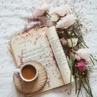 انواع مشگل گشا