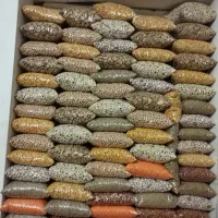 حبوبات محلی