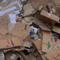 کارتون خرید به به بالاترین قیمت