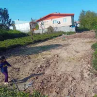 زمین با سند و پروانه|فروش زمین و ملک کلنگی|کومله, |دیوار