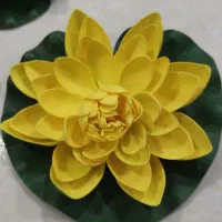 گل مرداب تزئینی بسیار زیبا