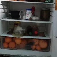 یخچال|یخچال و فریزر|علیآباد کتول, |دیوار