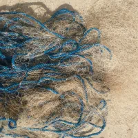 تور|ماهیگیری|کازرون, |دیوار