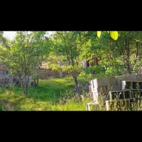 فروش زمین ییلاقی شالینگچال