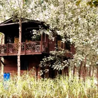 خلق-یک-شاهکار-زندگی-تلفیق-هنرو-راحتی