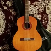 گیتار c40 اصل اندونزی