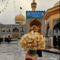 حرم  مطهر  امام هشتم +++