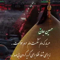 تور کربلا زمینی و هوایی