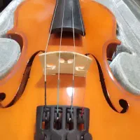 ویلون آموزشی تی آف|ویولن|مریوان, |دیوار