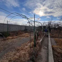 باغ-ویلایی-1980-متری-در-منطقه-ویلایی-خسروشاه