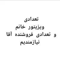 فروشنده و ویزیتور
