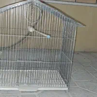 قفس طوطی ،قفس پرنده، اکواریوم|لوازم جانبی حیوانات|شهرضا, |دیوار