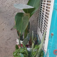 نظافت انجام میدیم دونفریم زن و مرد