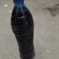 ماهی|ماهی|گلبهار, شهر جدید گلبهار|دیوار