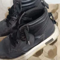 کفش سایز ۳۷|کیف، کفش، کمربند|پرند, فاز ۵|دیوار