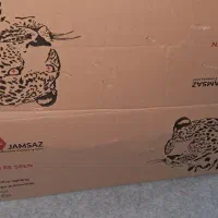 چراغ چپ و راست نو سورن معمولی زیر قیمت