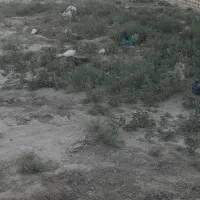 باسلام‌یک‌زمین‌خالی‌بفروش‌میرسد‌متراژ‌460‌‌زهک