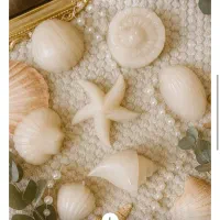 شمع دریایی|صنایع دستی و سایر لوازم تزئینی|سبزوار, عظیمیان|دیوار