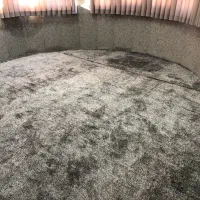 پالازموکت پلازا پلاس موکت مدرن ۴۳۹۸|موکت|قم, شاه ابراهیم|دیوار