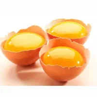 پخش عمده تخم مرغ تازه و لوکس با قیمت استثنایی